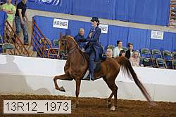 13r12_1973 proof