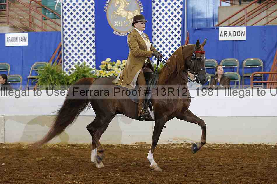 Proof 13r12_1981