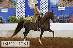 13r12_1981 proof