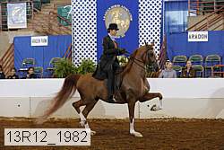 13r12_1982 proof