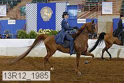 13r12_1985 proof
