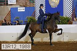 13r12_1988 proof