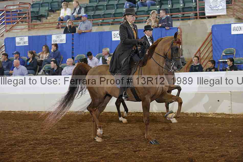 Proof 13r12_1989