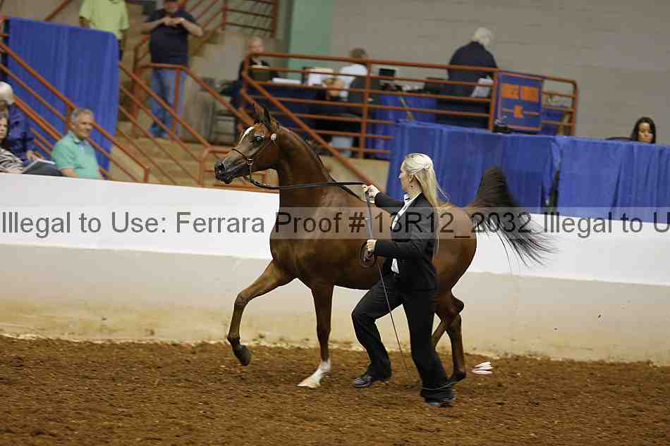 Proof 13r12_2032