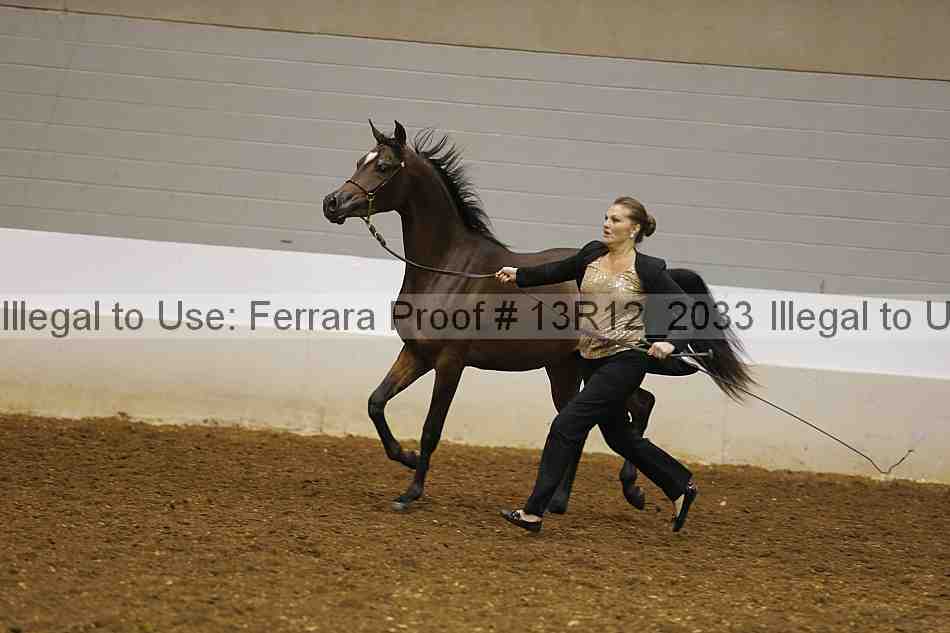 Proof 13r12_2033
