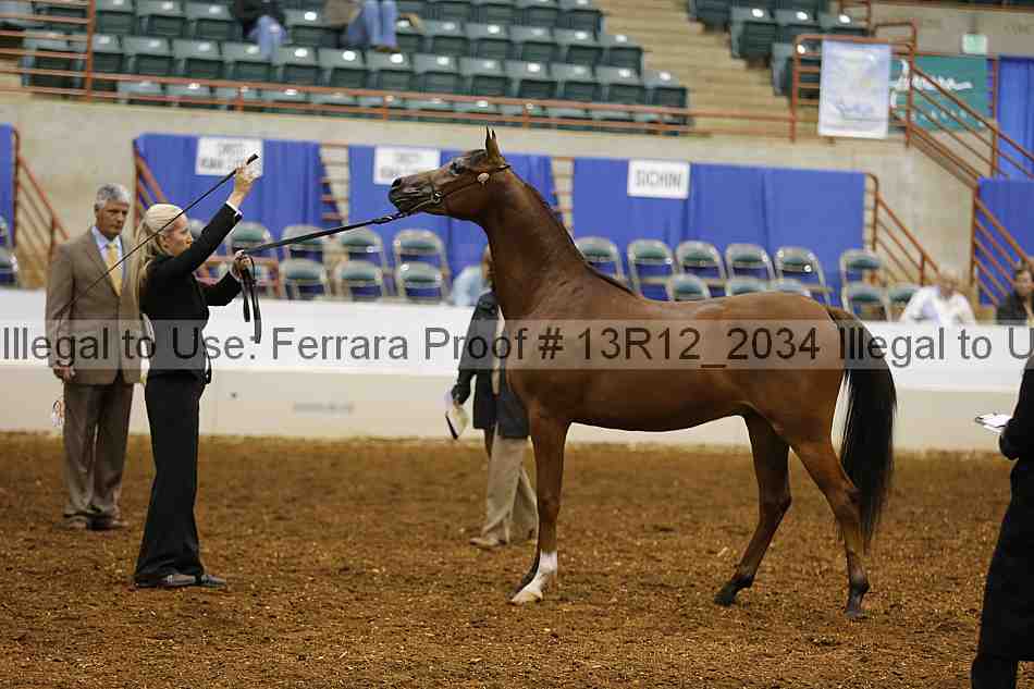 Proof 13r12_2034