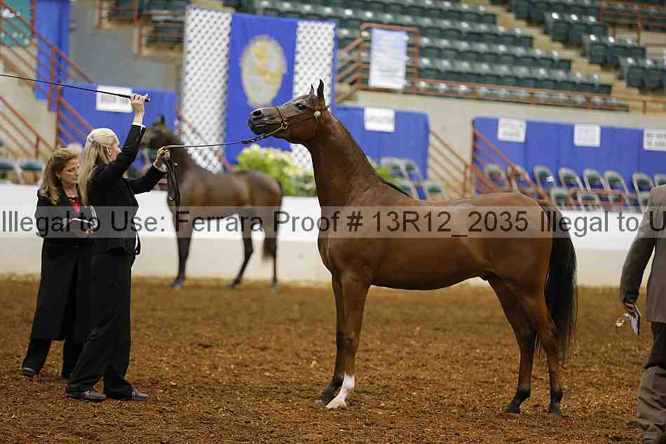 Proof 13r12_2035