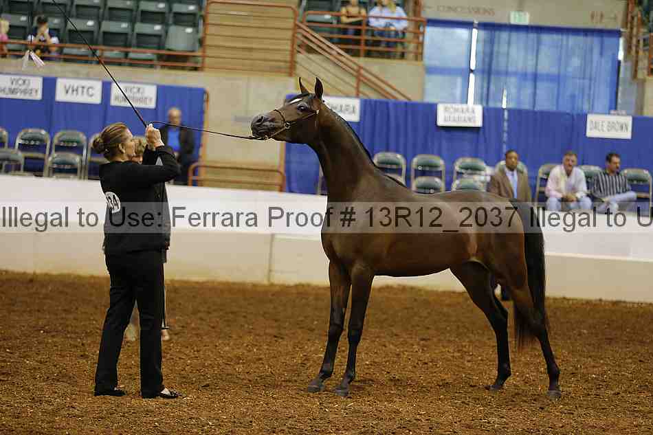 Proof 13r12_2037