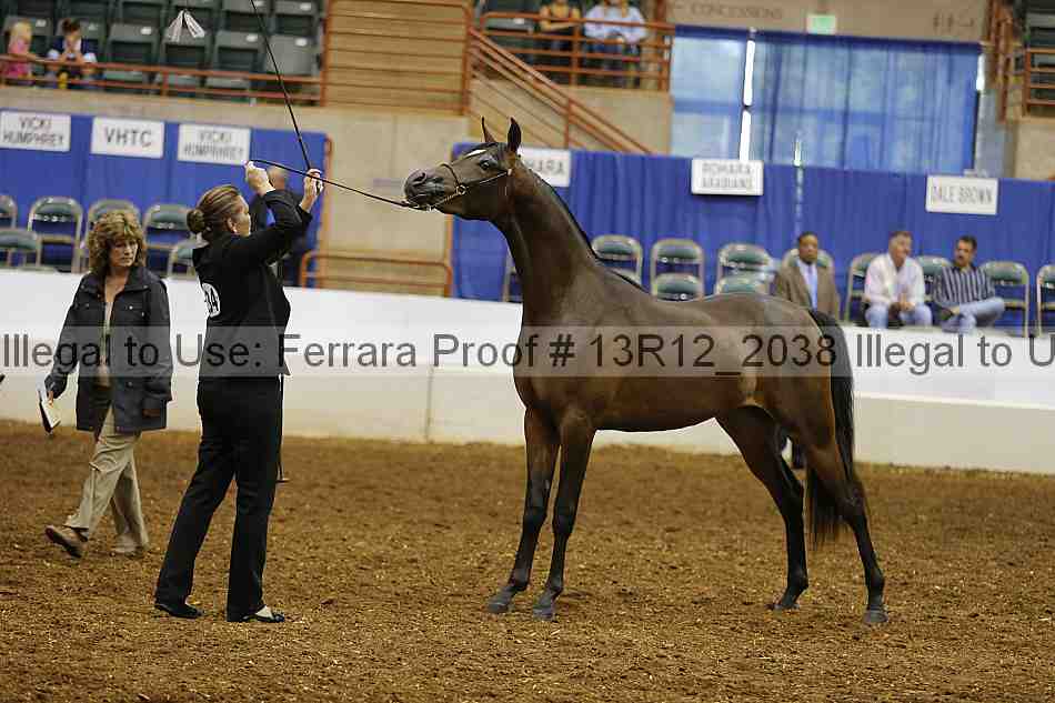 Proof 13r12_2038