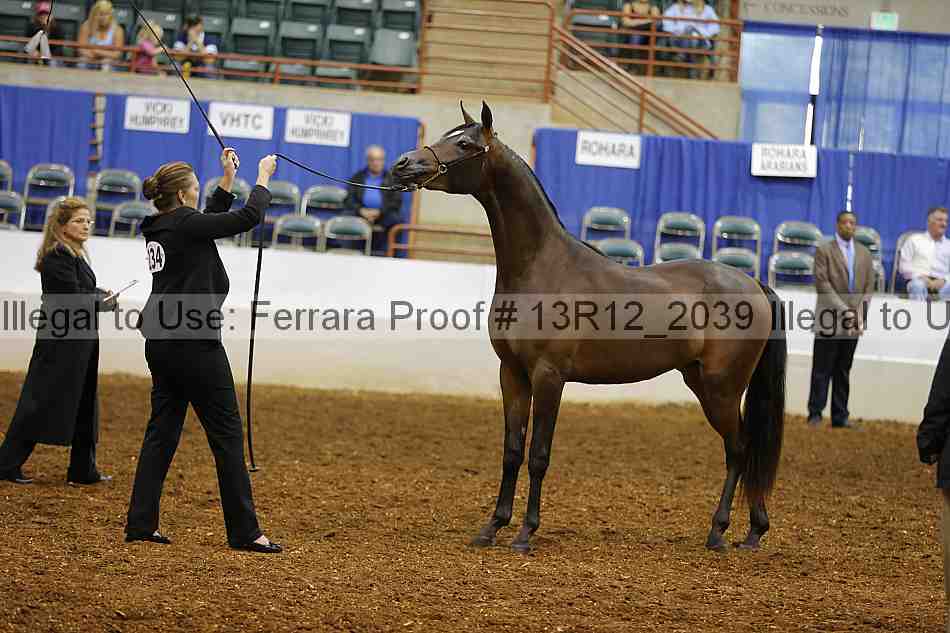 Proof 13r12_2039