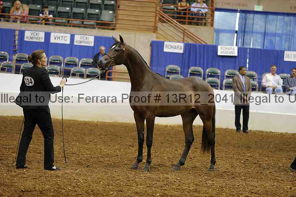 Proof 13r12_2041