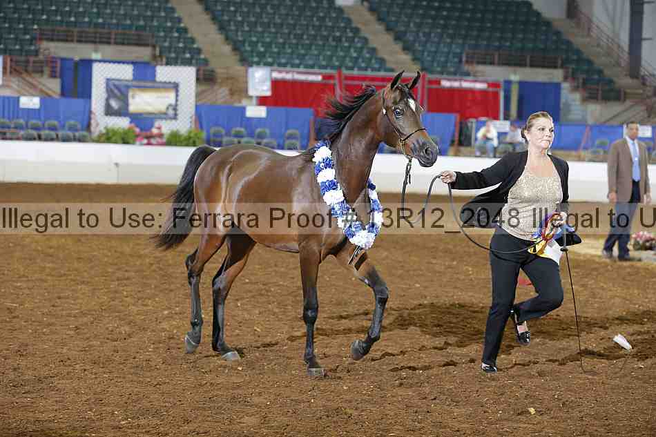 Proof 13r12_2048