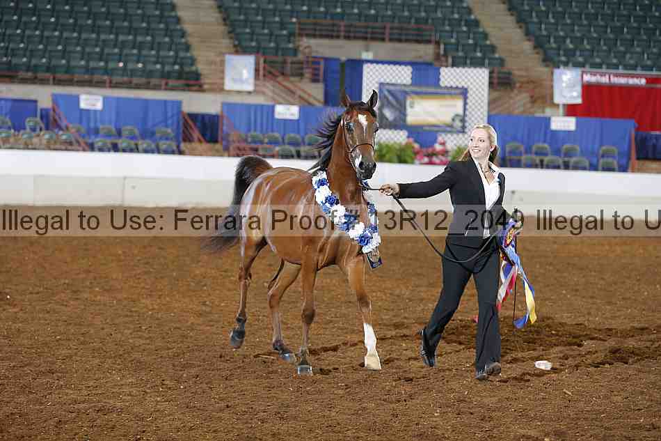 Proof 13r12_2049