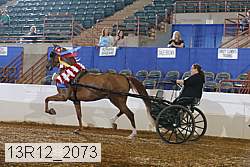 13r12_2073 proof