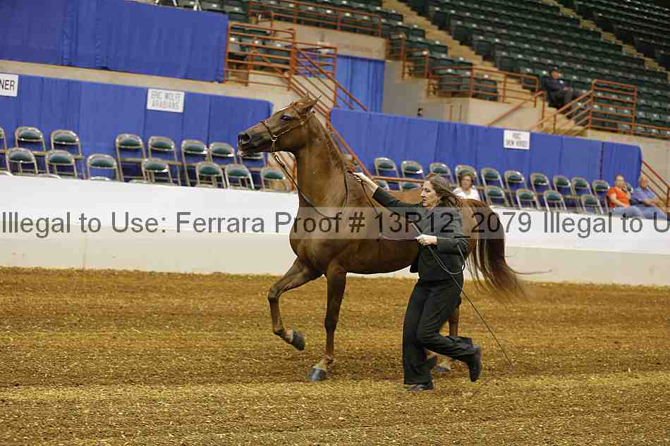 Proof 13r12_2079