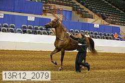 13r12_2079 proof