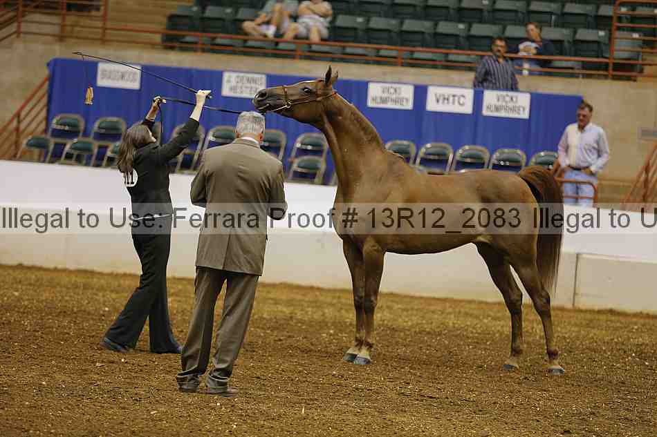 Proof 13r12_2083