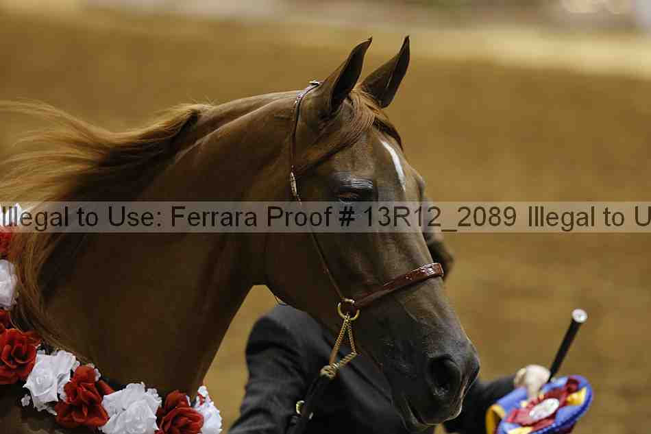 Proof 13r12_2089