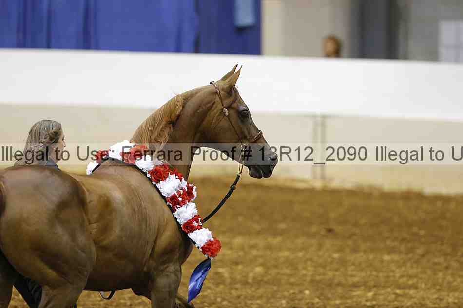 Proof 13r12_2090