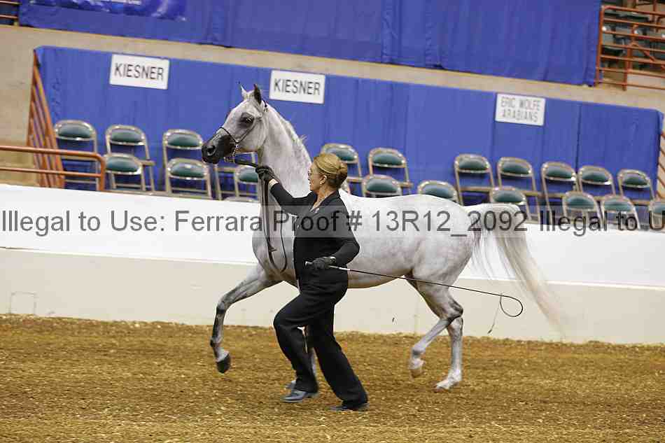 Proof 13r12_2092