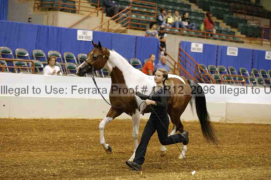Proof 13r12_2096
