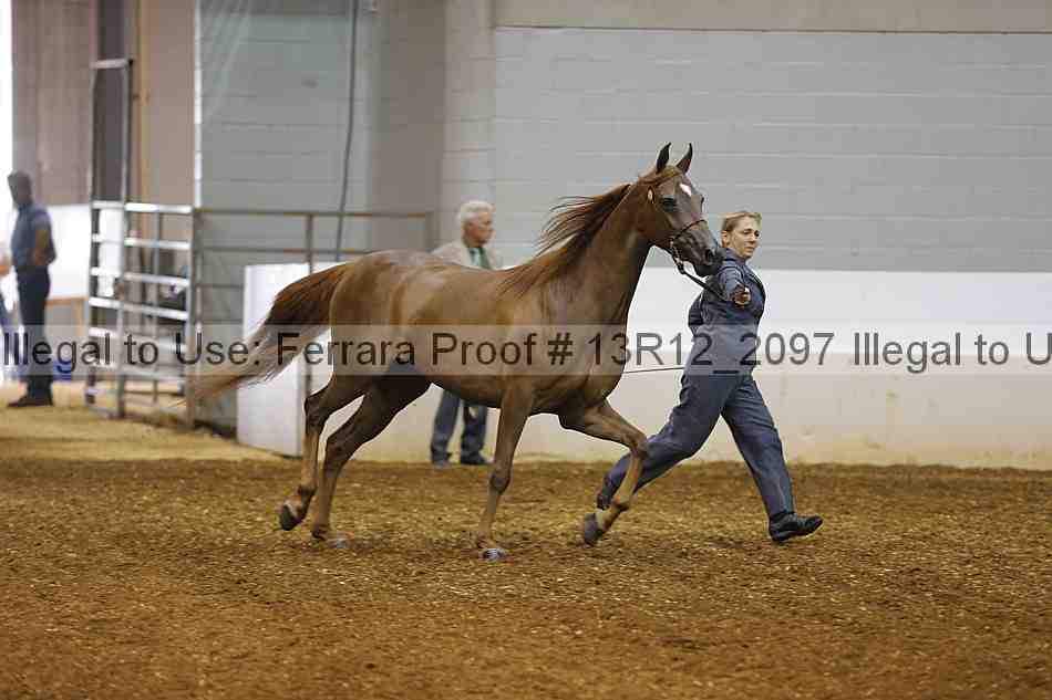 Proof 13r12_2097