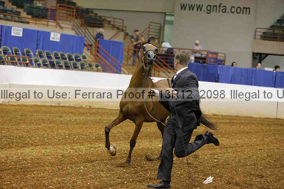 Proof 13r12_2098