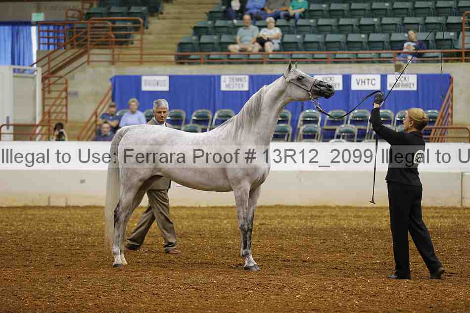 Proof 13r12_2099