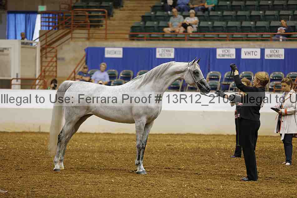 Proof 13r12_2102