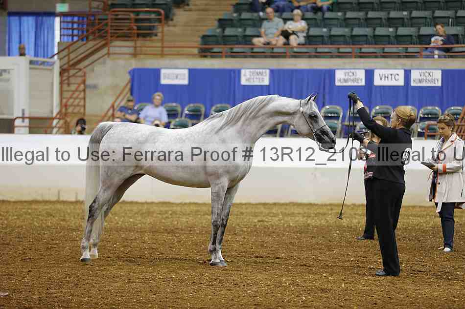 Proof 13r12_2103
