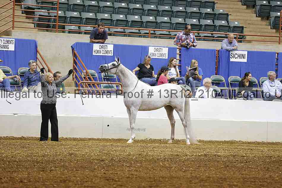Proof 13r12_2104