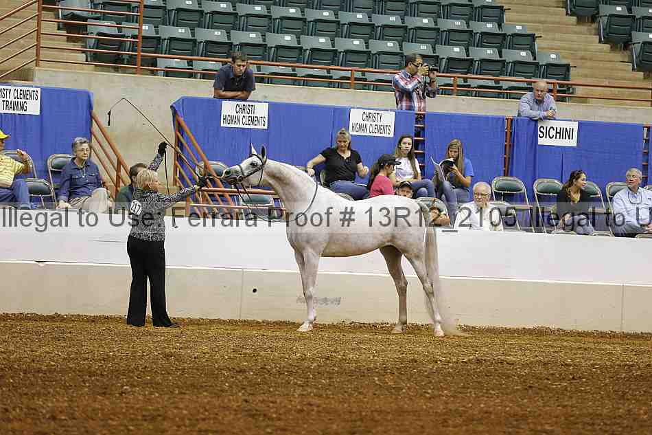 Proof 13r12_2105