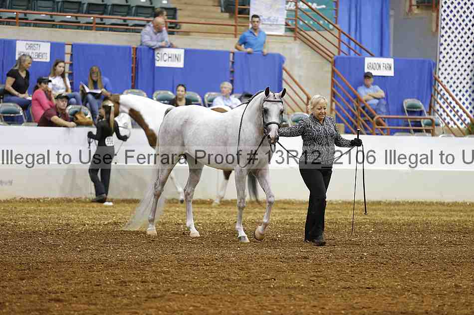 Proof 13r12_2106