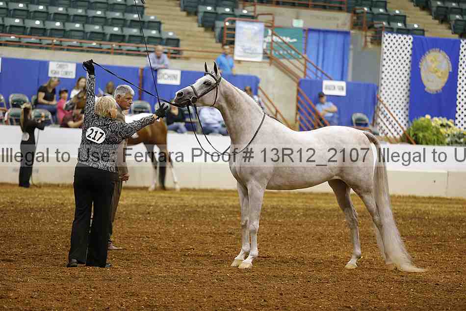 Proof 13r12_2107
