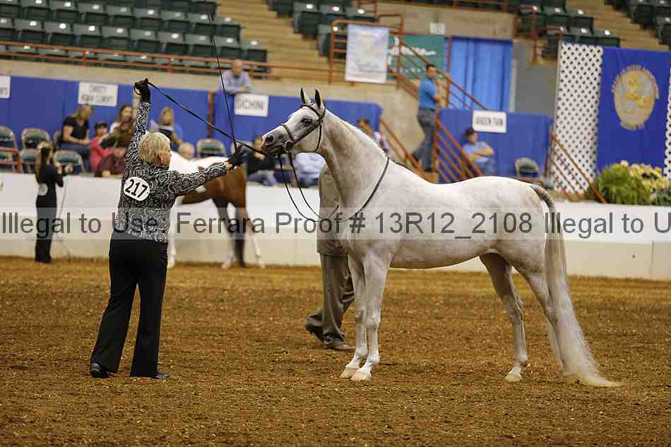 Proof 13r12_2108