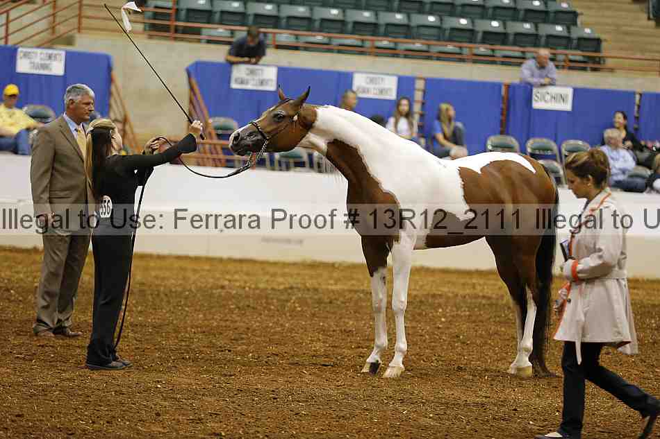 Proof 13r12_2111