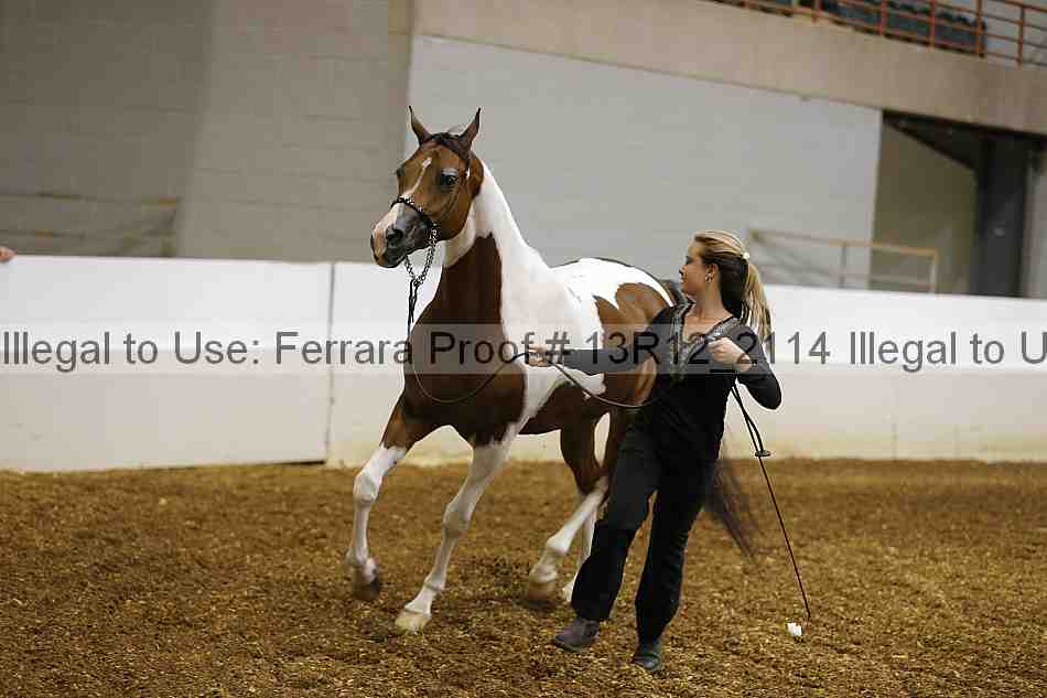 Proof 13r12_2114