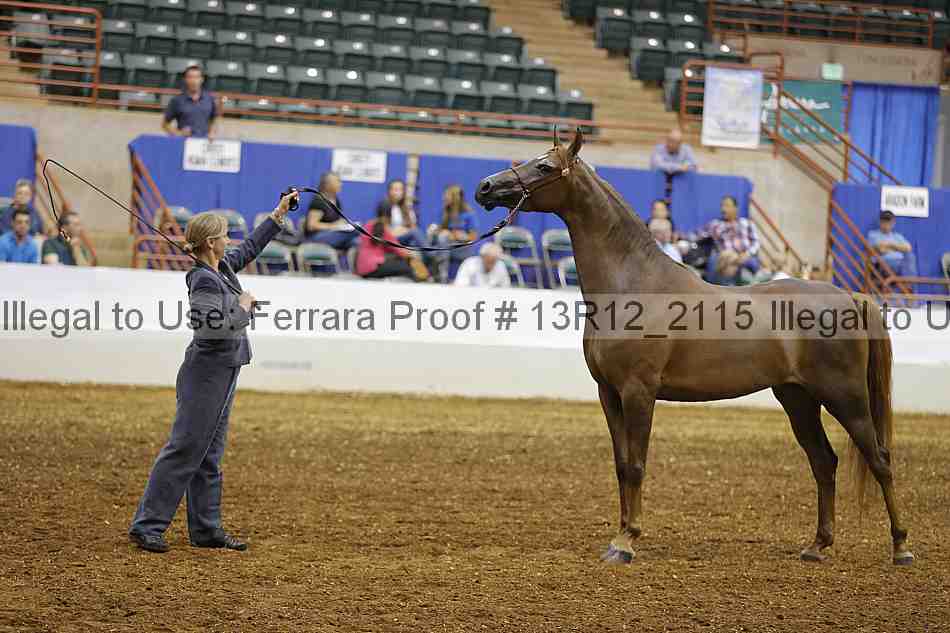 Proof 13r12_2115