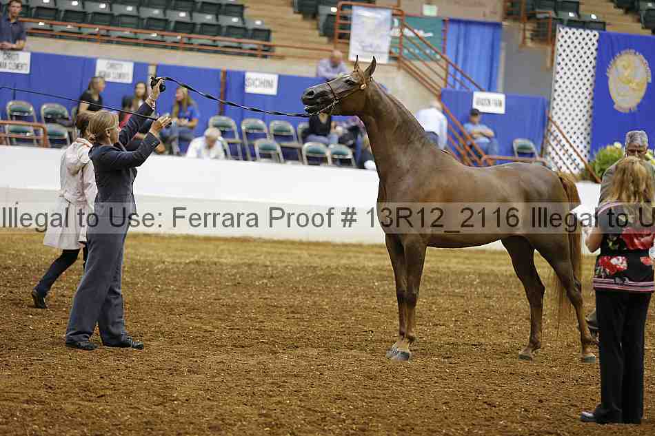 Proof 13r12_2116