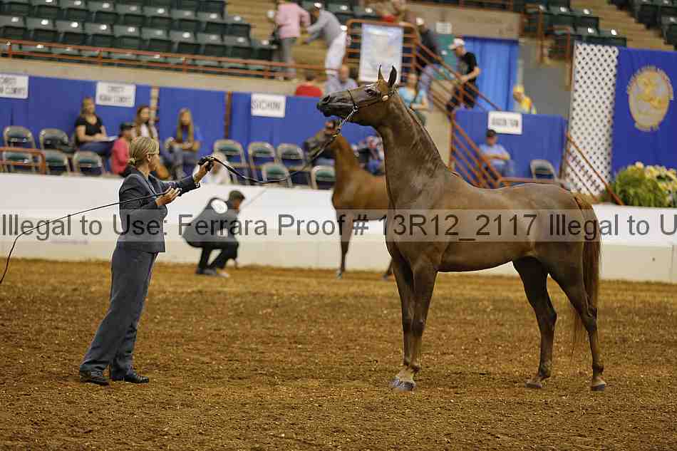 Proof 13r12_2117