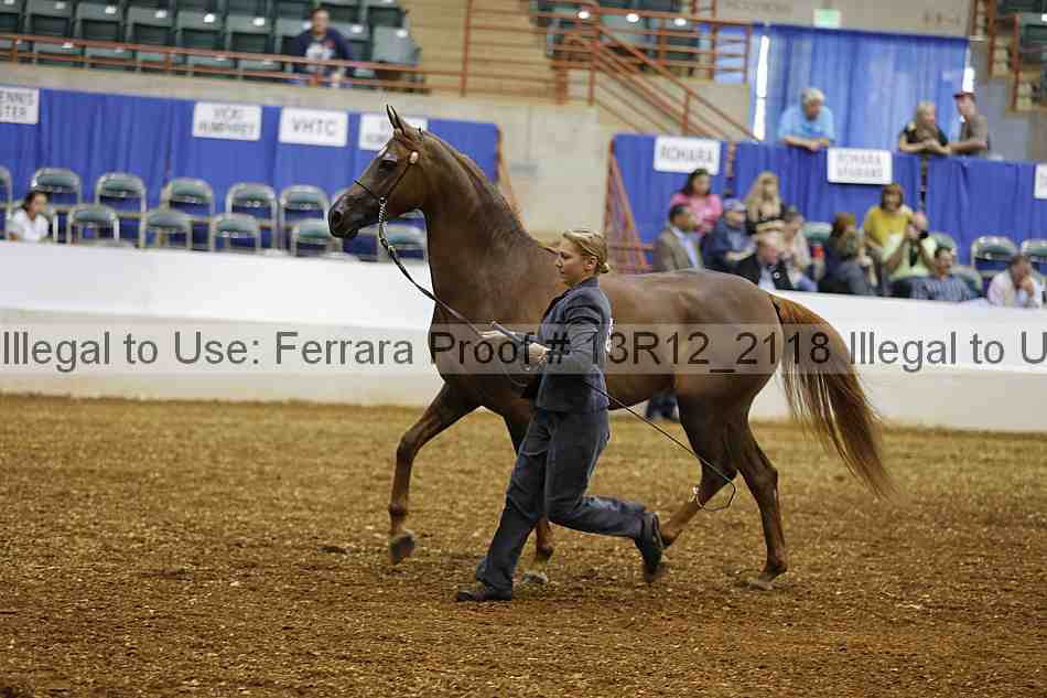 Proof 13r12_2118