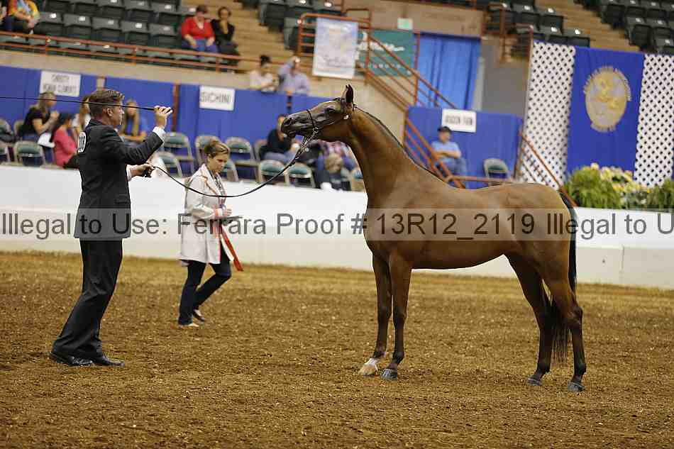 Proof 13r12_2119