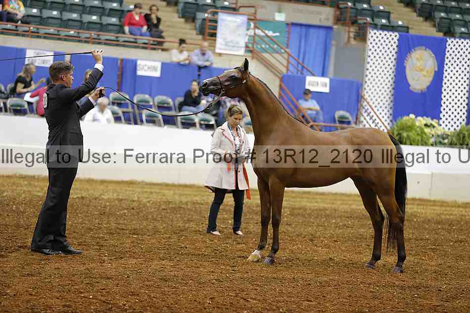 Proof 13r12_2120