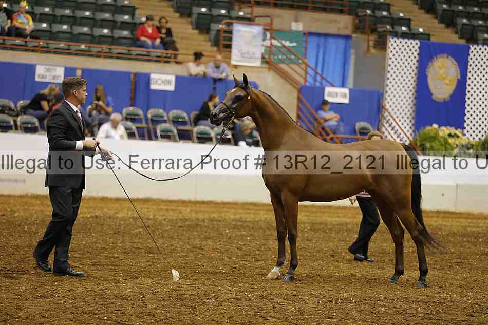 Proof 13r12_2121