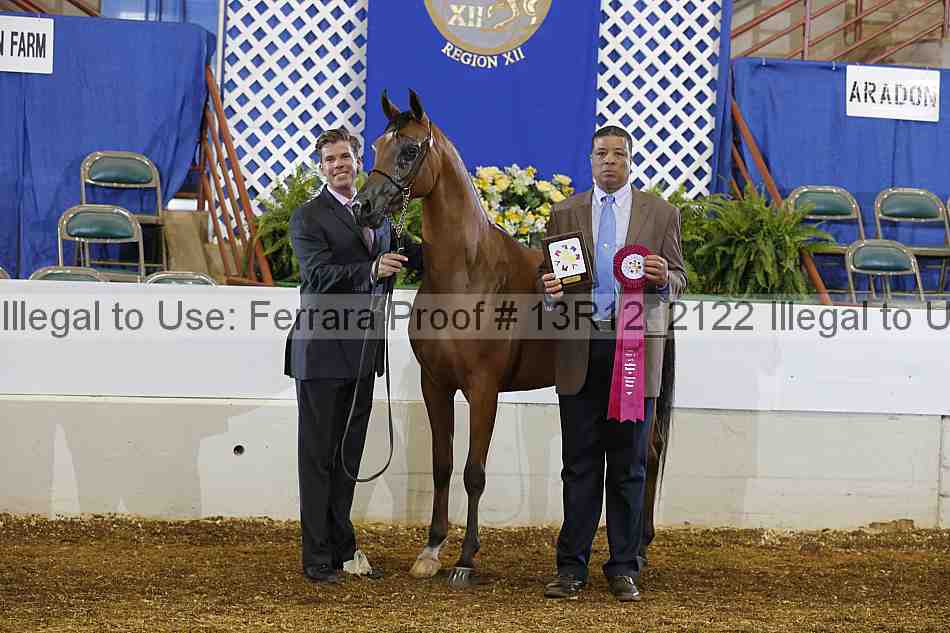 Proof 13r12_2122