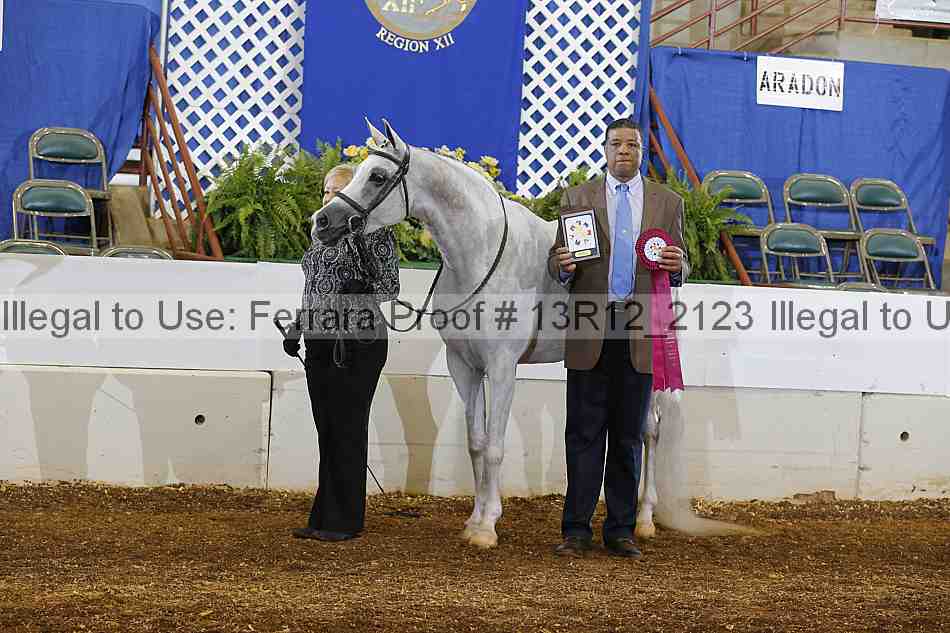 Proof 13r12_2123