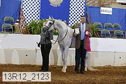 13r12_2123 proof