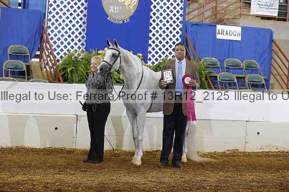 Proof 13r12_2125
