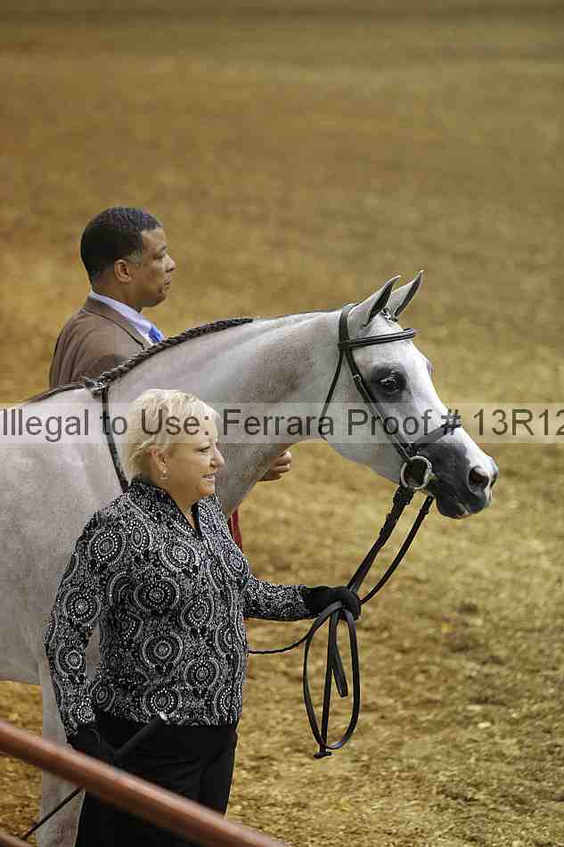 Proof 13r12_2126