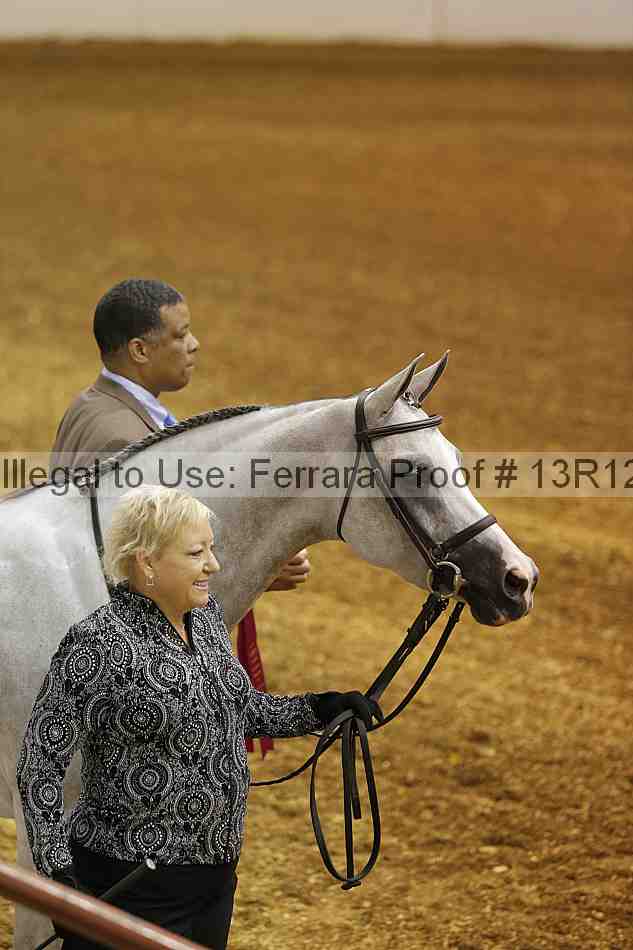 Proof 13r12_2127
